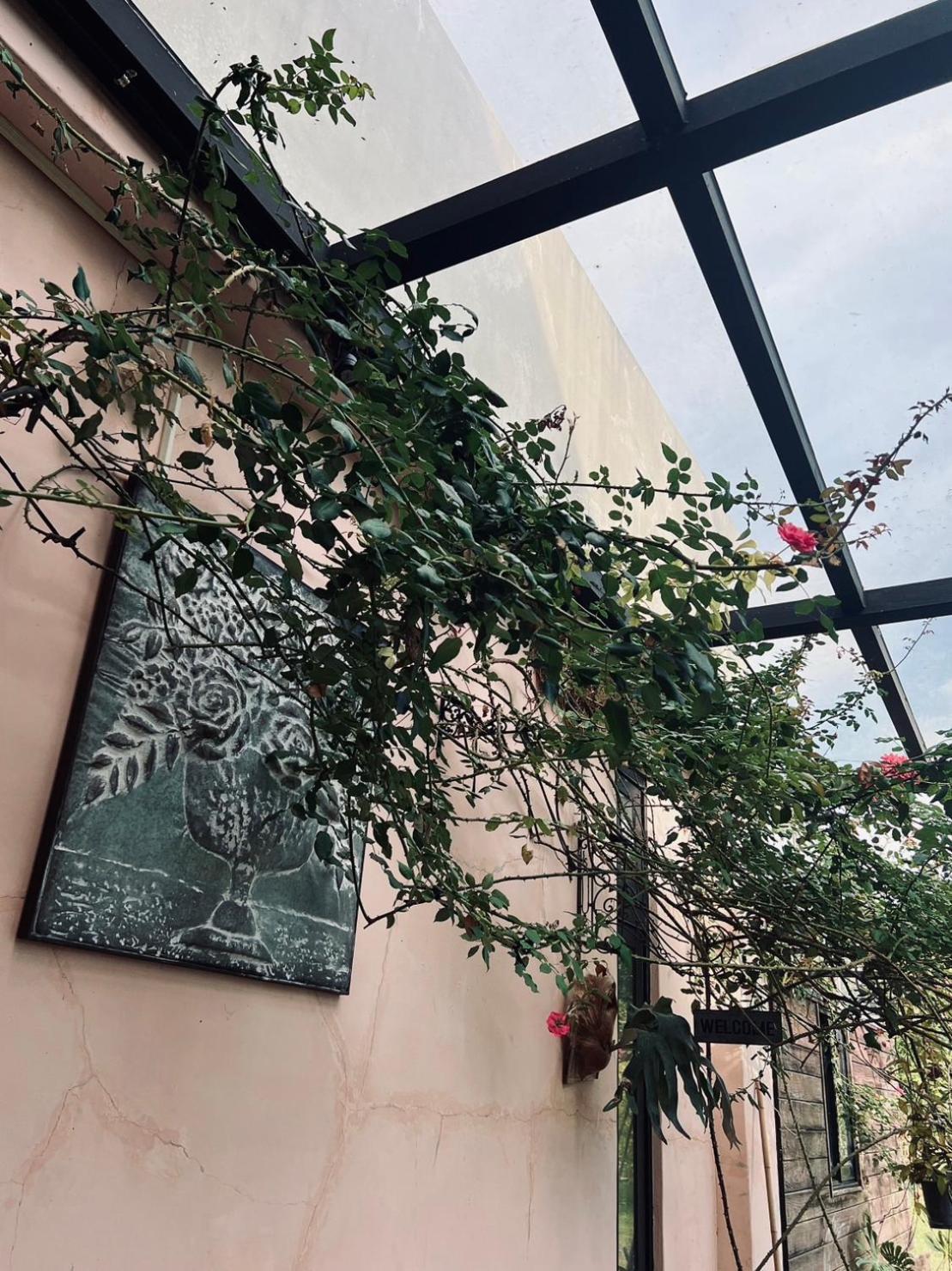 Moshang Caoxun Changbin Exterior foto